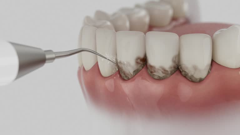 Reliable Dental contractor in Hokendauqua, PA by Dentist Open Now